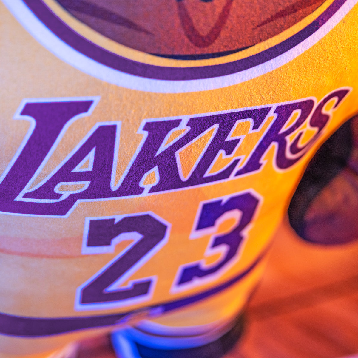 Los Angeles Lakers Lebron James 24&quot; Bleacher Buddy