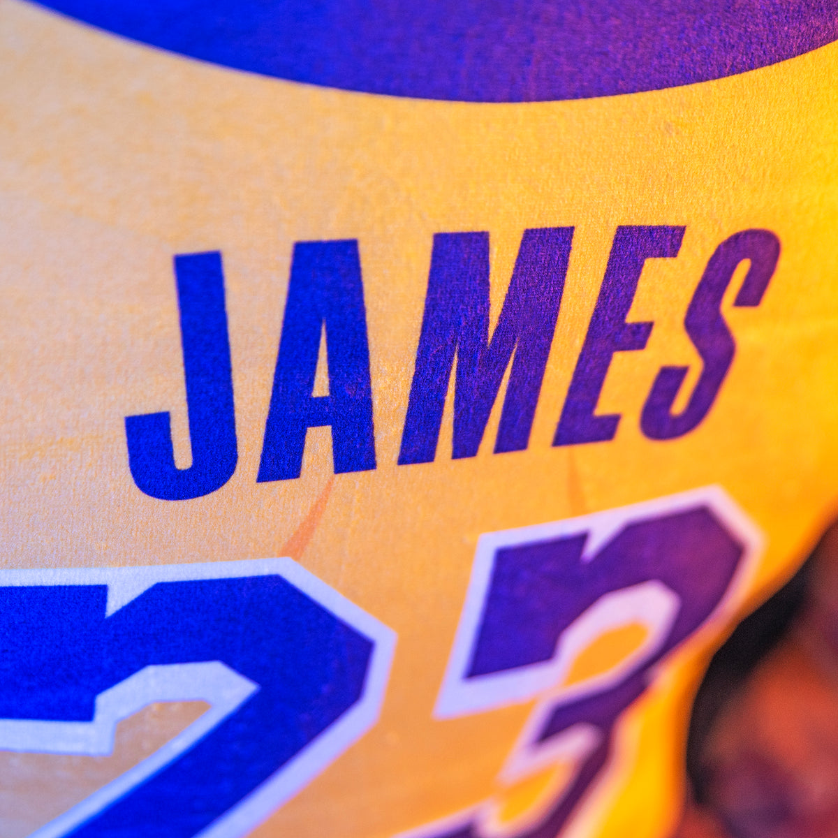 Los Angeles Lakers Lebron James 24&quot; Bleacher Buddy