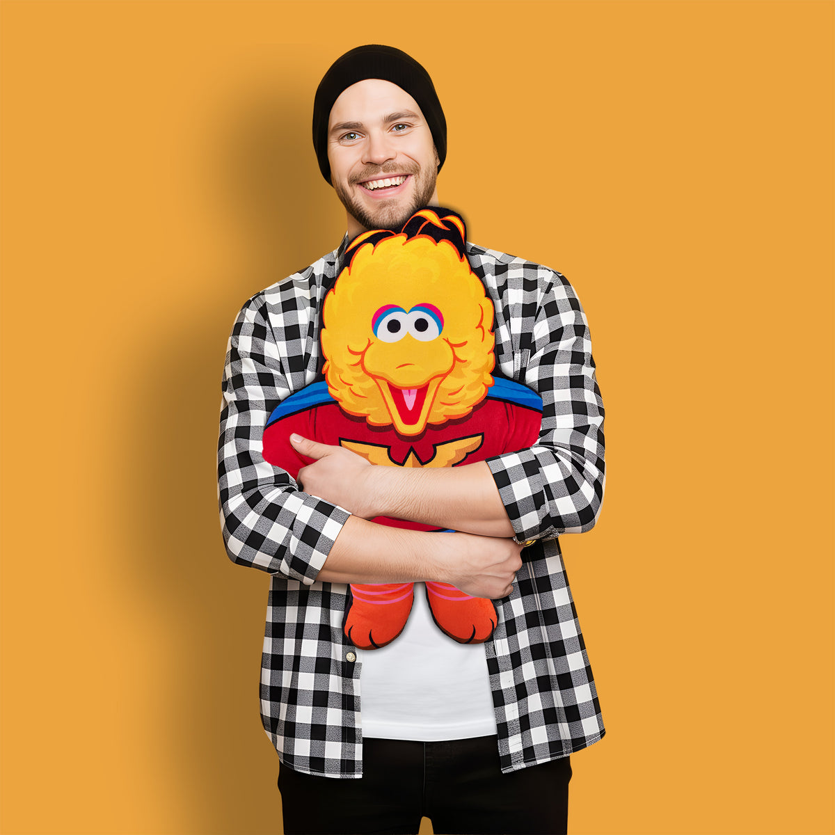 Sesame Street Big Bird Superhero 22" Bleacher Buddy