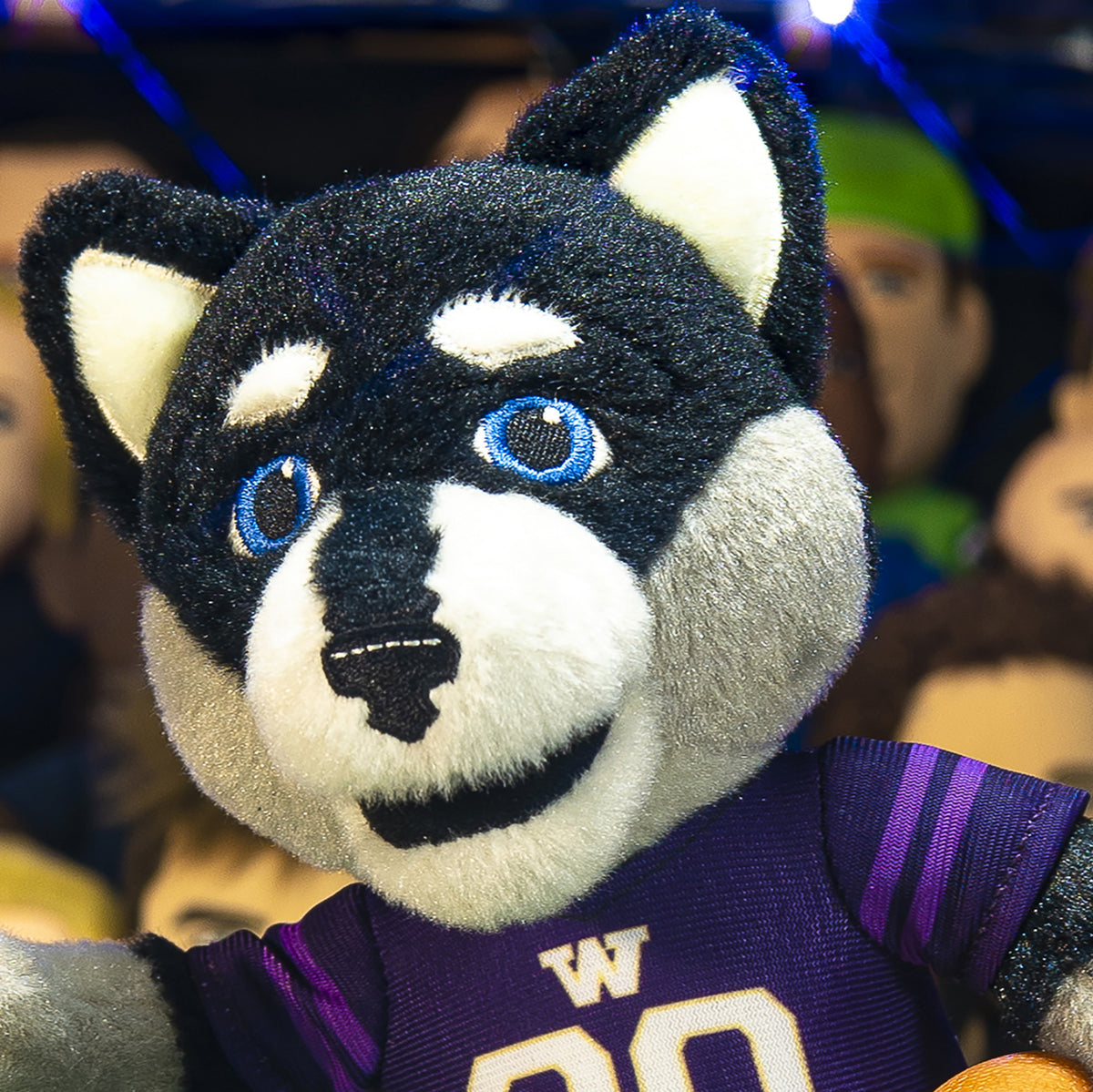 Washington Huskies Harry the Husky Mascot Plush Bundle