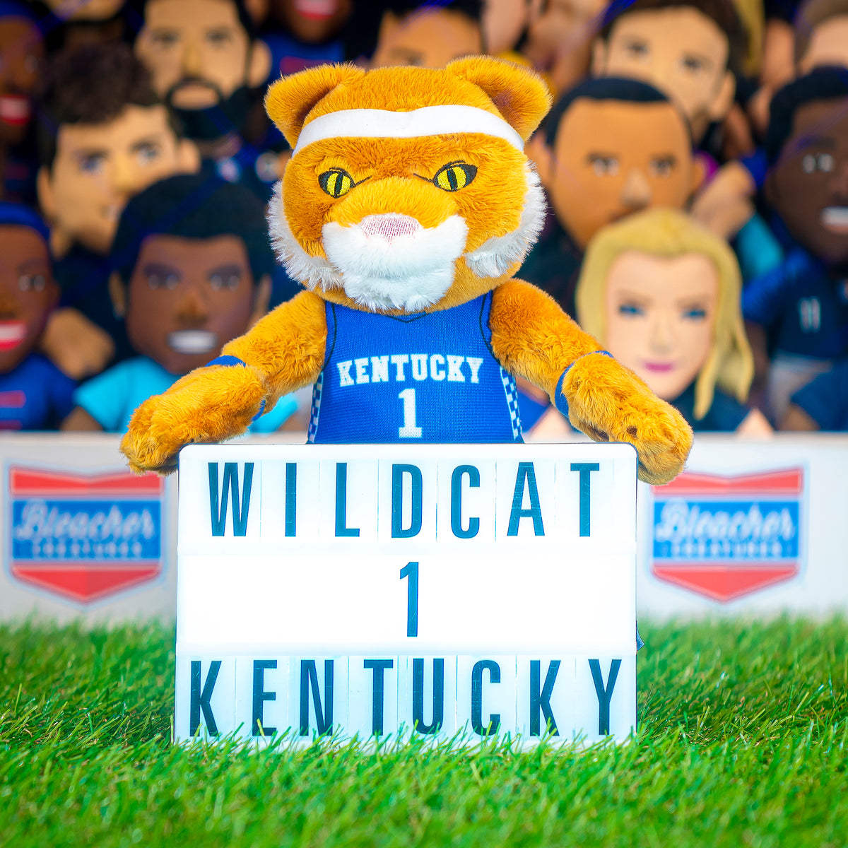 Kentucky Wildcats Wildcat 10&quot; Mascot Plush Figure