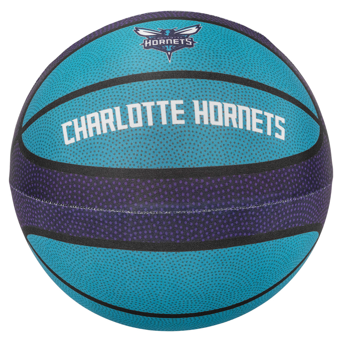 Charlotte Hornets Silent Basketball