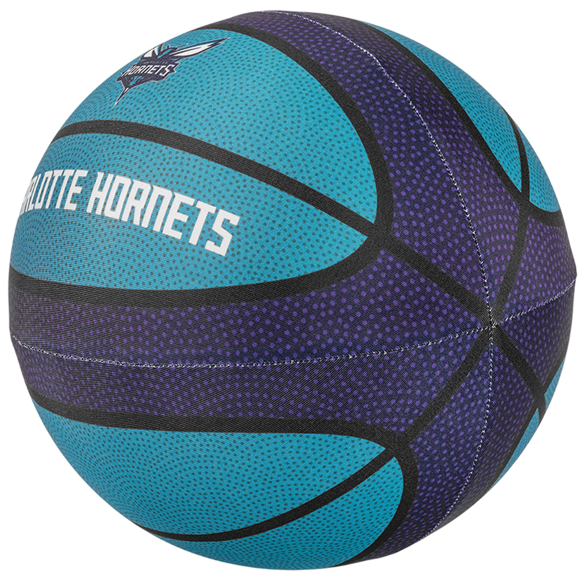 Charlotte Hornets Silent Basketball