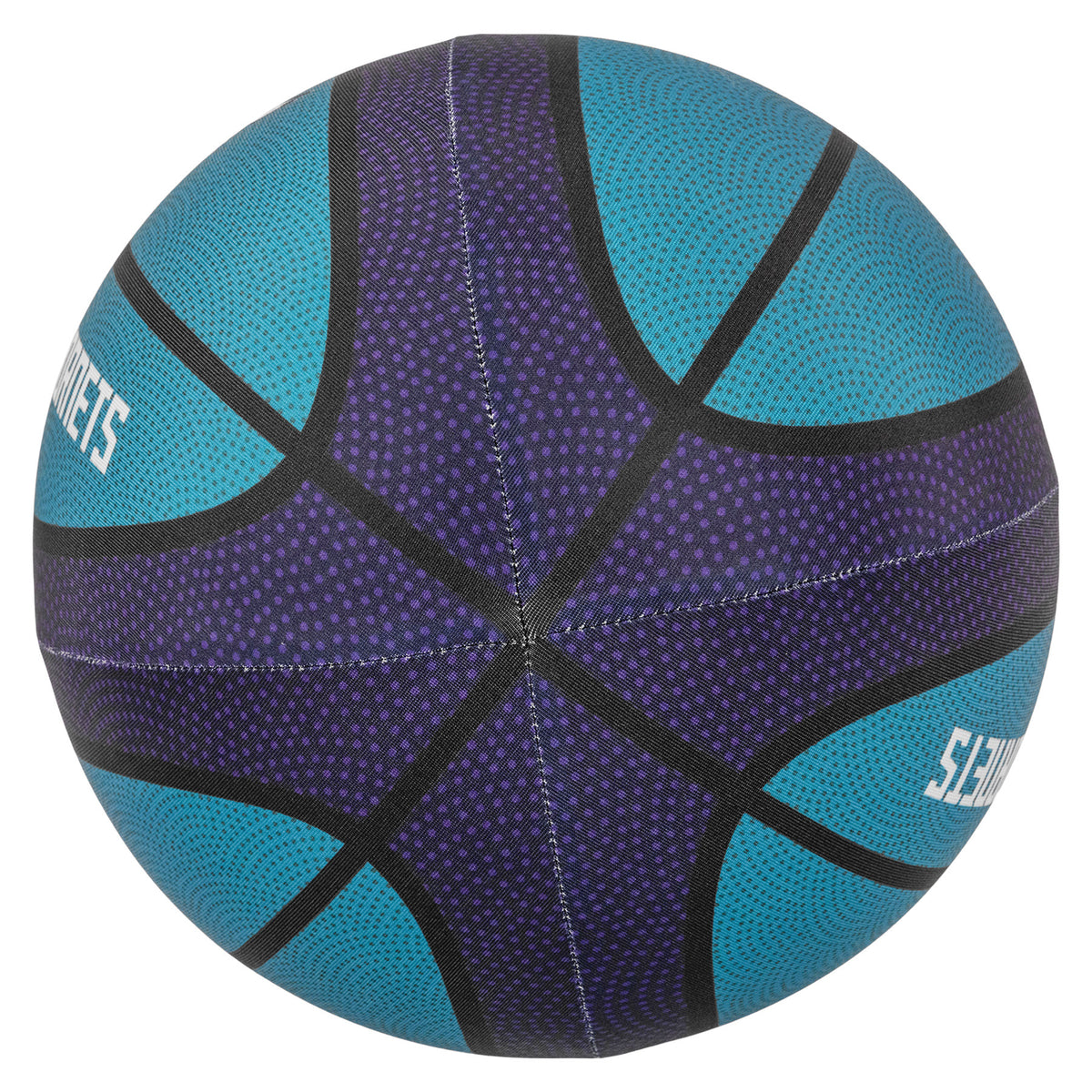 Charlotte Hornets Silent Basketball