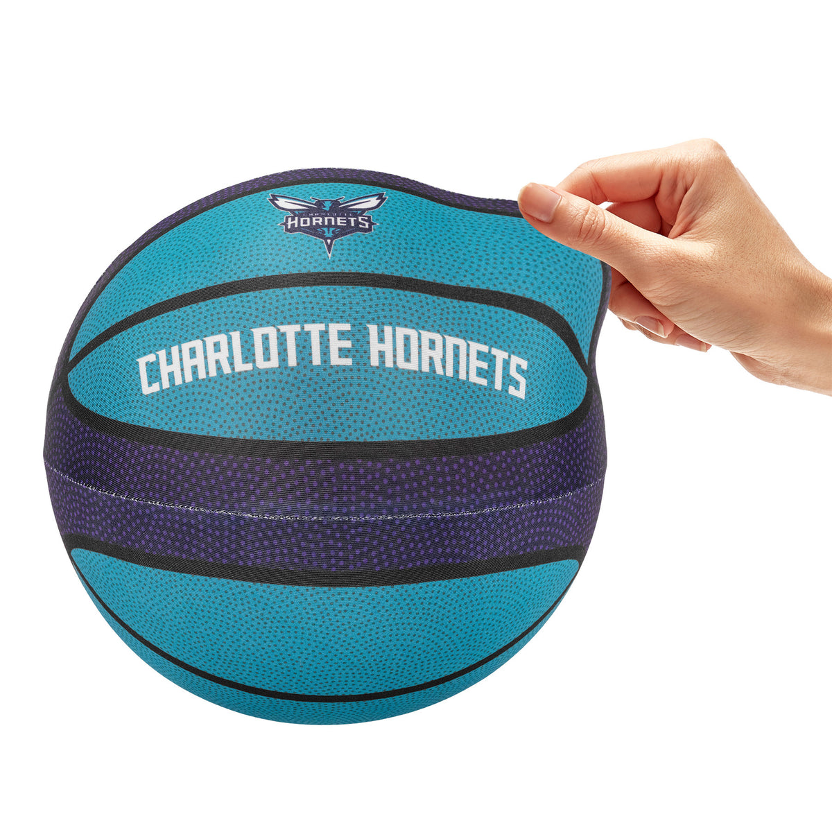 Charlotte Hornets Silent Basketball