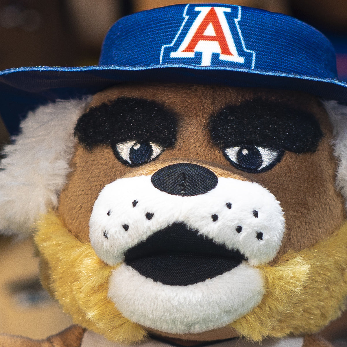 Arizona Wildcats Wilbur 10&quot; Mascot Plush Figure